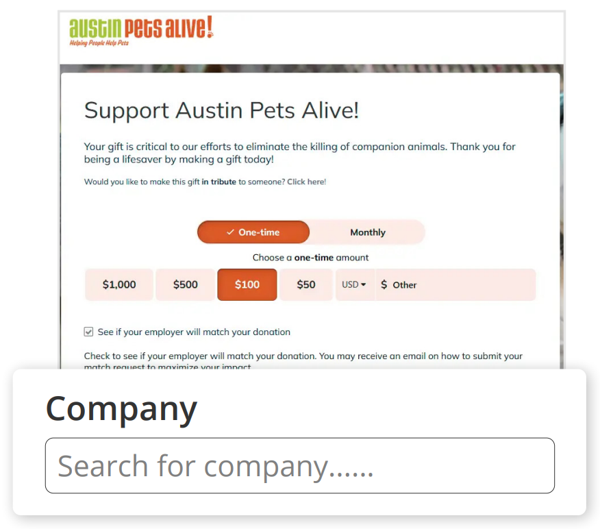 How Austin Pets Alive! uncovered match opportunities with their donation form
